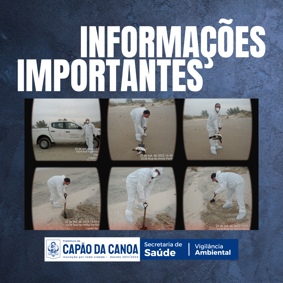 informacoes-importantes-sobre-a-influenza-aviaria-de-alta-patogenicidade